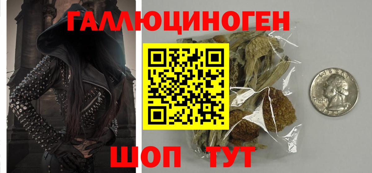 Галлюциногенные грибы прущие грибы Ялта